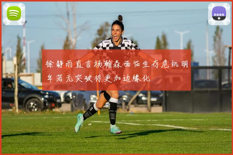 徐静雨直言杨瀚森面临生存危机明年若无突破将更加边缘化