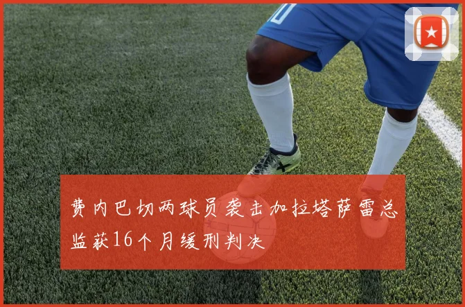 费内巴切两球员袭击加拉塔萨雷总监获16个月缓刑判决